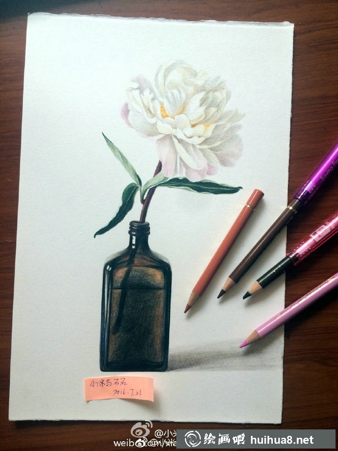 可临摹:六种花与花瓶的彩铅画作品欣赏