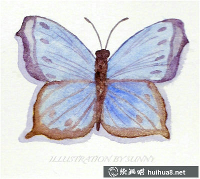 一组蝴蝶水彩画作品欣赏可临摹