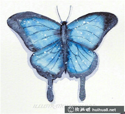 一组蝴蝶水彩画作品欣赏可临摹
