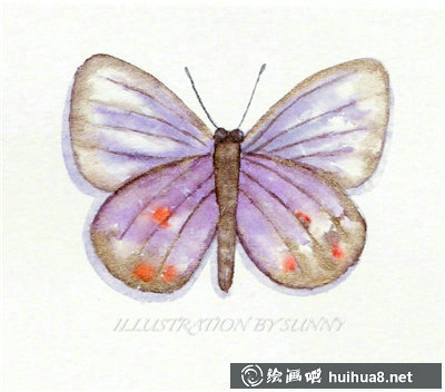 一组蝴蝶水彩画作品欣赏可临摹