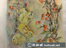 鸡年彩铅画12
