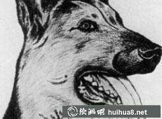 希特勒素描作品3