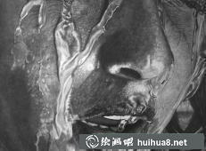 超现实主义画家Paul的素描作品《时光的印记》
