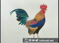 鸡年彩铅画15