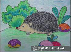 小刺猬7