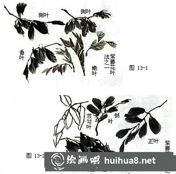 国画叶子画法