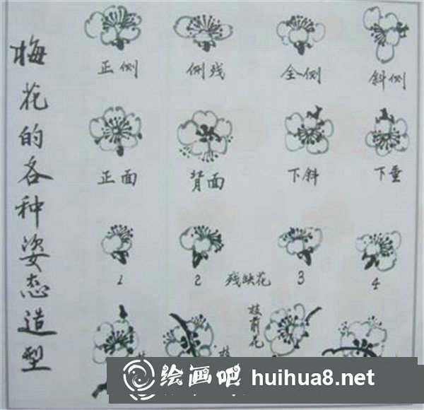梅花的姿态