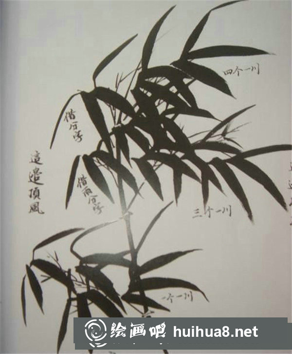 风竹画法