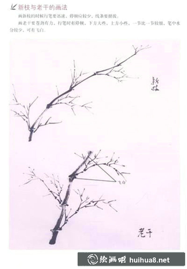 国画竹叶的画法步骤 国画竹叶的画法步骤