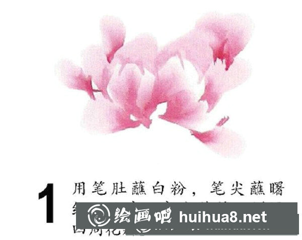 怎样画国画牡丹教程