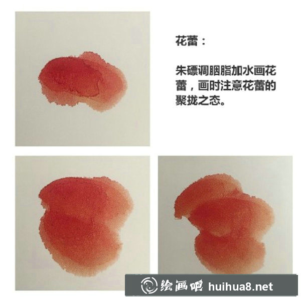 初学国画牡丹步骤画法 初学国画牡丹步骤画法