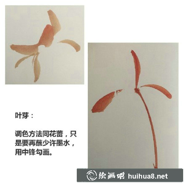 初学国画牡丹步骤画法 初学国画牡丹步骤画法