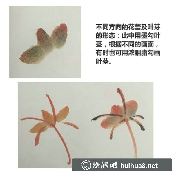 初学国画牡丹步骤画法 初学国画牡丹步骤画法