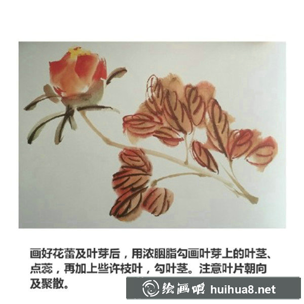 初学国画牡丹步骤画法 初学国画牡丹步骤画法