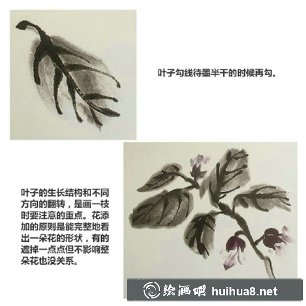 国画茄子的画法教程