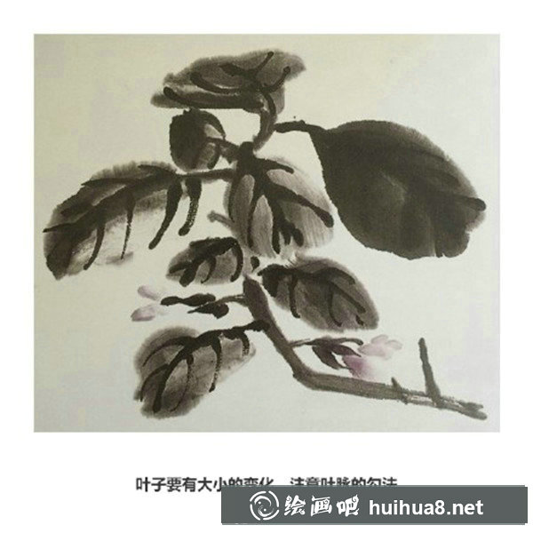 国画茄子的画法教程