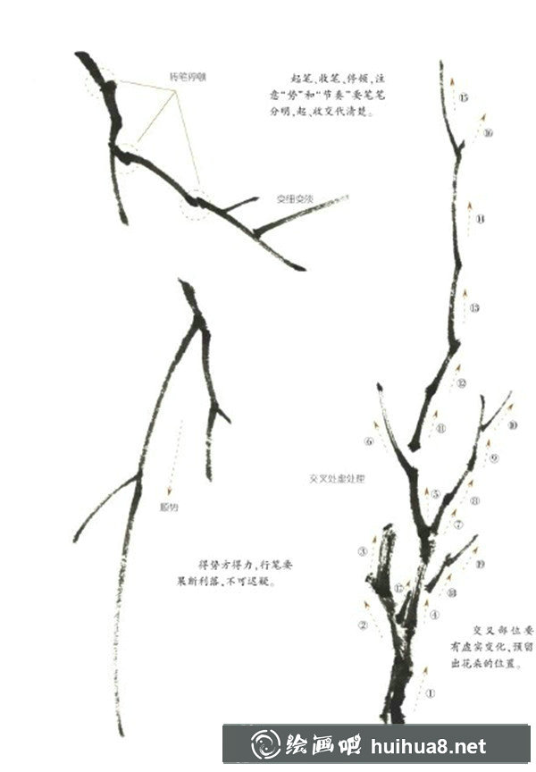 国画梅花枝干的画法