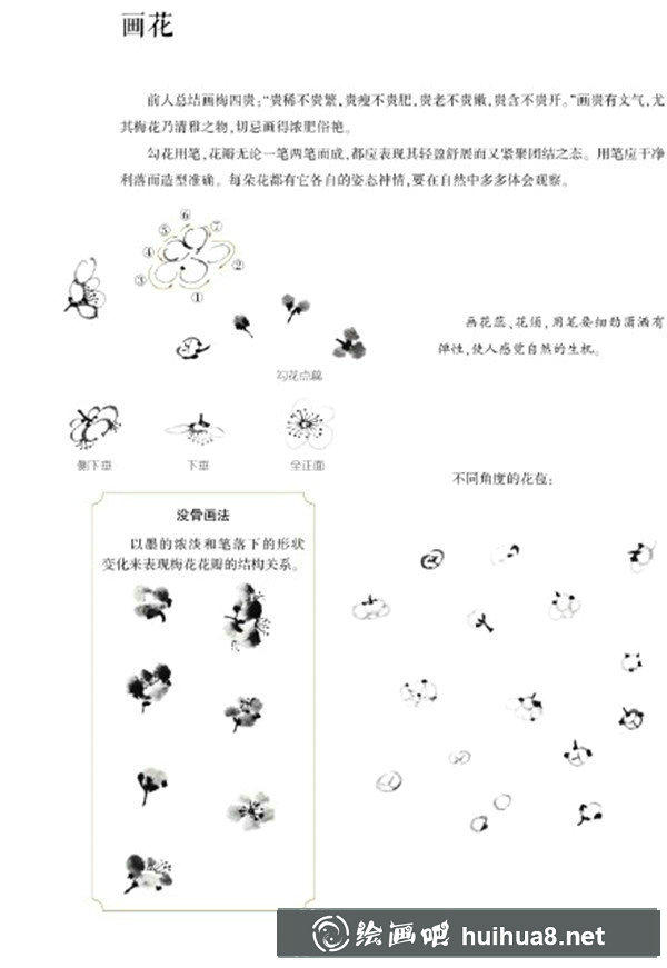 国画梅花枝干的画法