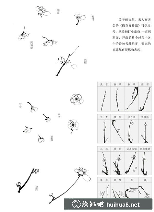 国画梅花枝干的画法