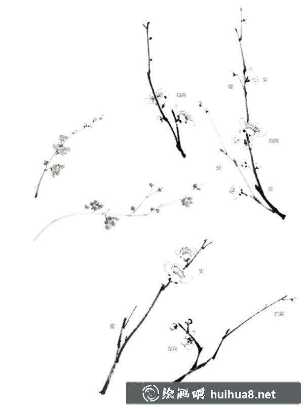 国画梅花枝干的画法