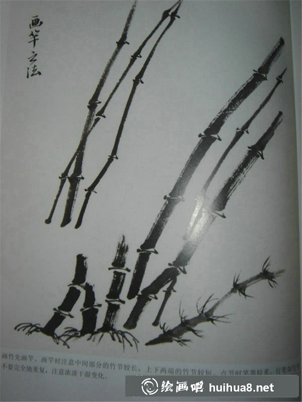国画入门和梅花 国画入门和梅花