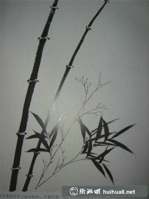 国画入门和梅花 国画入门和梅花