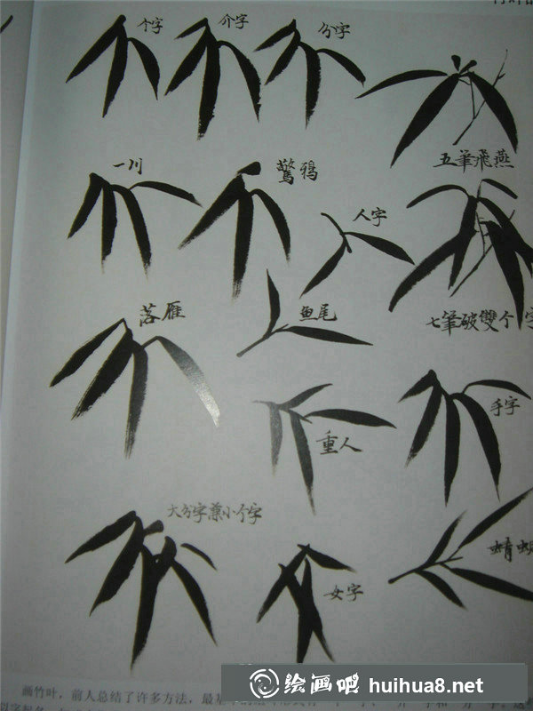 国画入门和梅花 国画入门和梅花