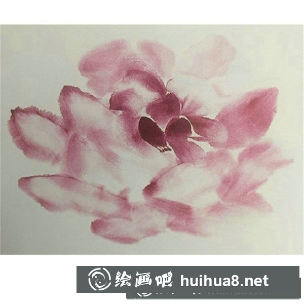 木芙蓉 木芙蓉