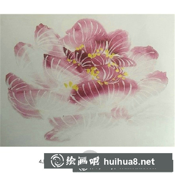 木芙蓉 木芙蓉