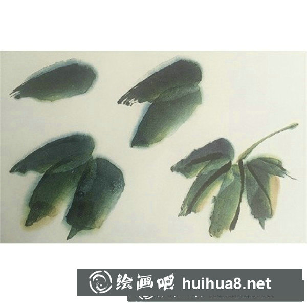 木芙蓉 木芙蓉