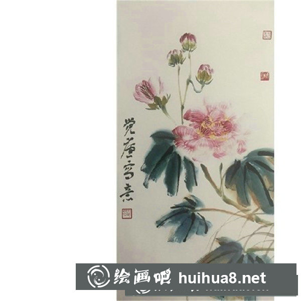 木芙蓉 木芙蓉