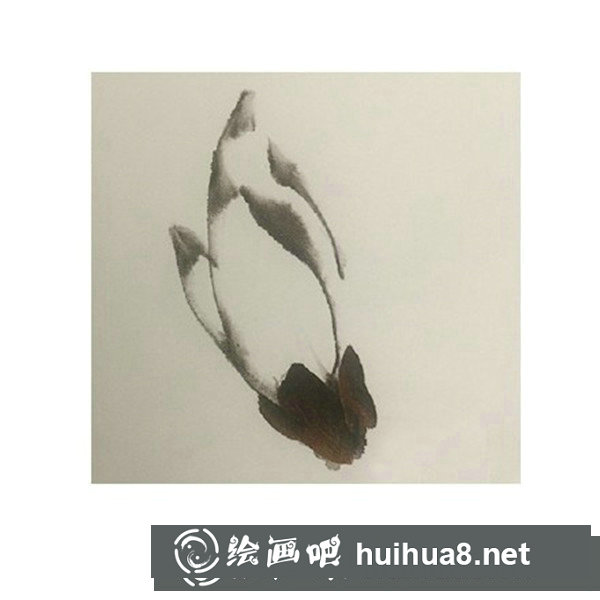 玉兰花国画入门