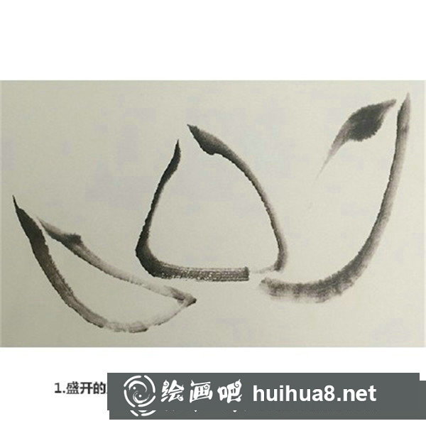 玉兰花国画入门