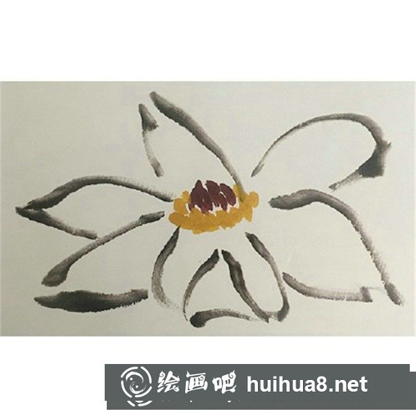 玉兰花