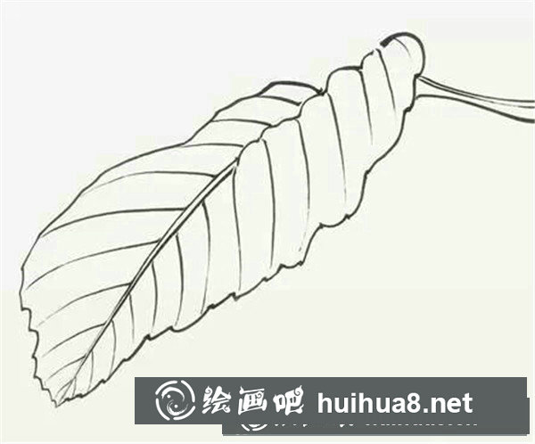 国画写意叶子的画法
