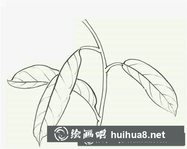 国画写意叶子的画法