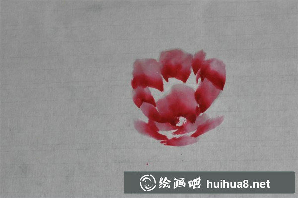 牡丹花的画法步骤