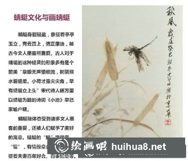 国画蜻蜓怎么画