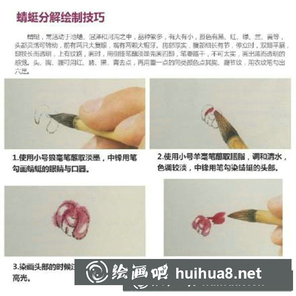 国画蜻蜓怎么画