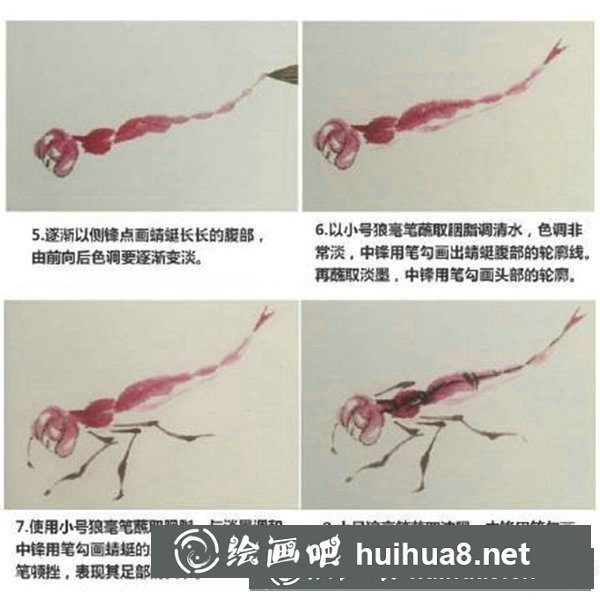 国画蜻蜓怎么画
