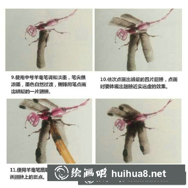 国画蜻蜓怎么画