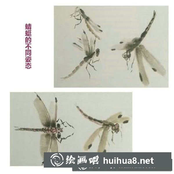 国画蜻蜓怎么画