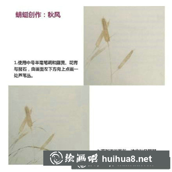 国画蜻蜓怎么画
