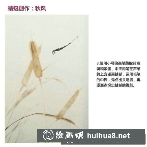 国画蜻蜓怎么画