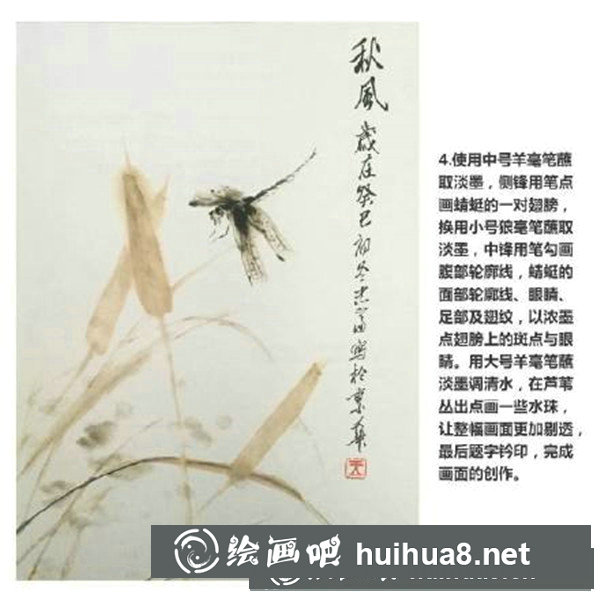 国画蜻蜓怎么画