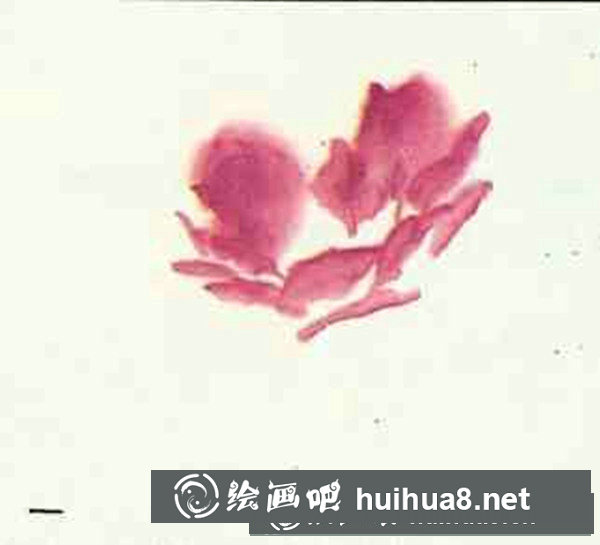 牡丹花画法步骤图画