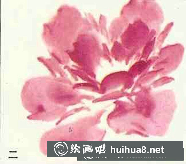 牡丹花画法步骤图画
