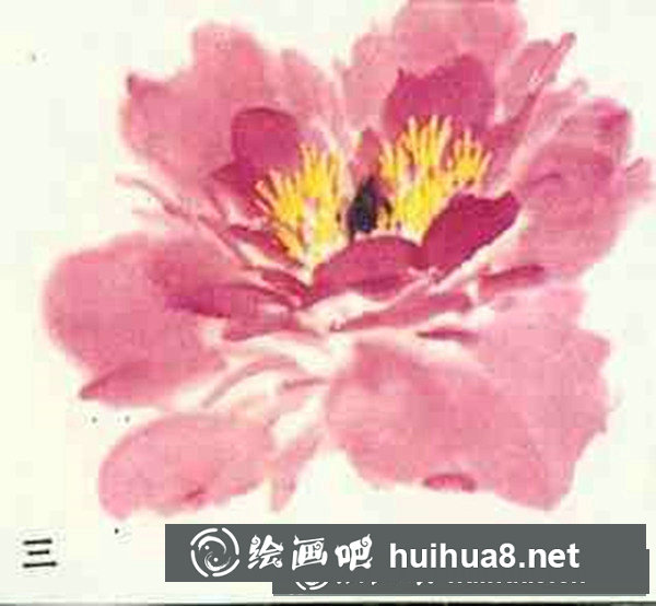 牡丹花画法步骤图画