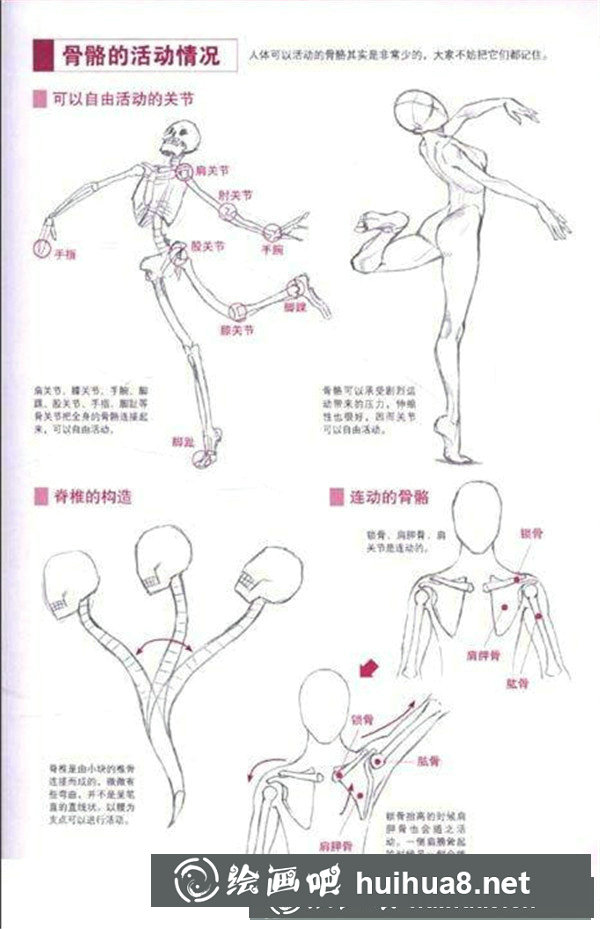 漫画人物体型图