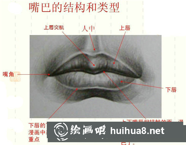 漫画人物嘴巴画法